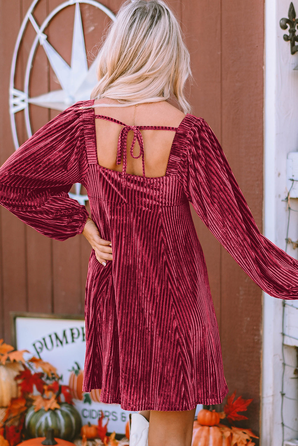 Pale Chestnut Long Sleeve Tiered Ribbed Velvet Dress